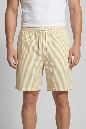 Casual Striped Summer Shorts