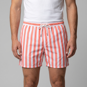 Quick Dry Striped Swim Shorts
