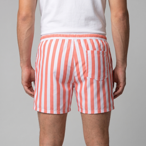 Quick Dry Striped Swim Shorts