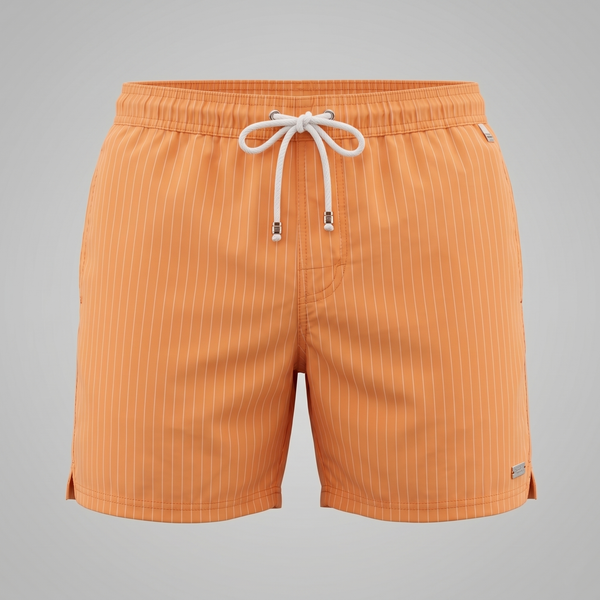 Quick Dry Striped Swim Shorts