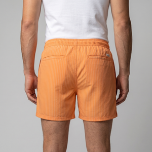 Quick Dry Striped Swim Shorts