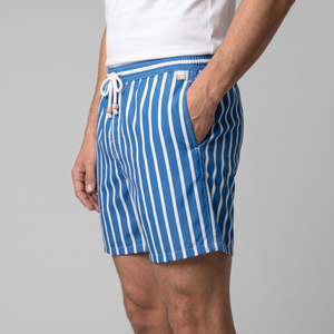 Quick Dry Striped Swim Shorts