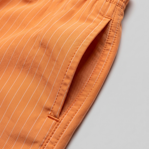 Quick Dry Striped Swim Shorts