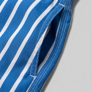Quick Dry Striped Swim Shorts