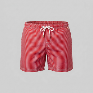 Quick Dry Striped Swim Shorts