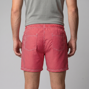 Quick Dry Striped Swim Shorts