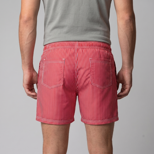 Quick Dry Striped Swim Shorts
