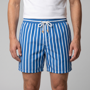Quick Dry Striped Swim Shorts
